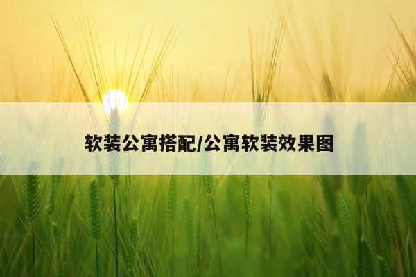 软装公寓搭配/公寓软装效果图