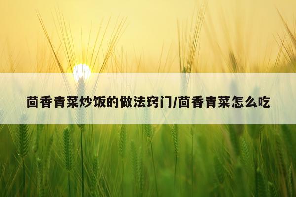 茴香青菜炒饭的做法窍门/茴香青菜怎么吃