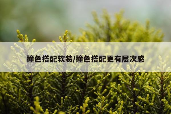 撞色搭配软装/撞色搭配更有层次感