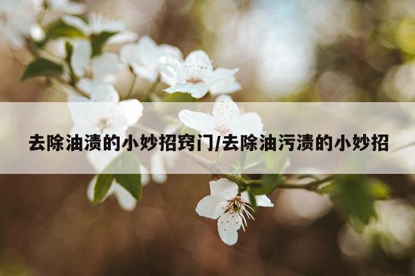 去除油渍的小妙招窍门/去除油污渍的小妙招