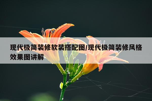 现代极简装修软装搭配图/现代极简装修风格效果图讲解