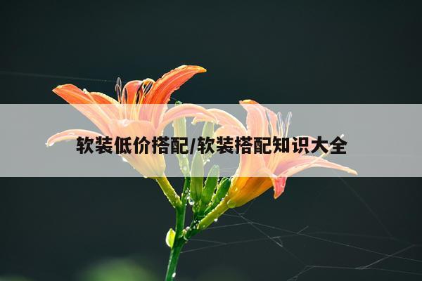 软装低价搭配/软装搭配知识大全