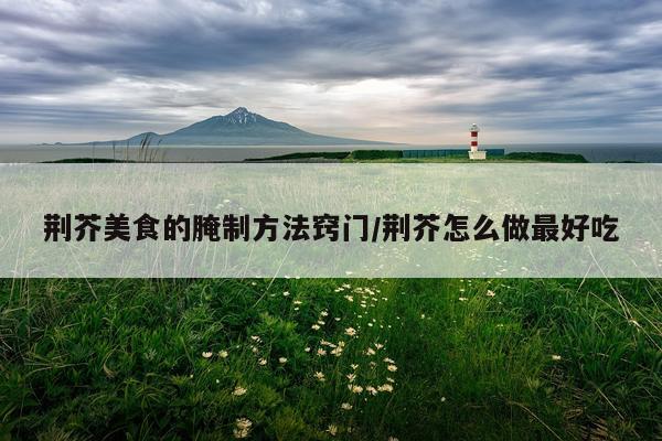 荆芥美食的腌制方法窍门/荆芥怎么做最好吃