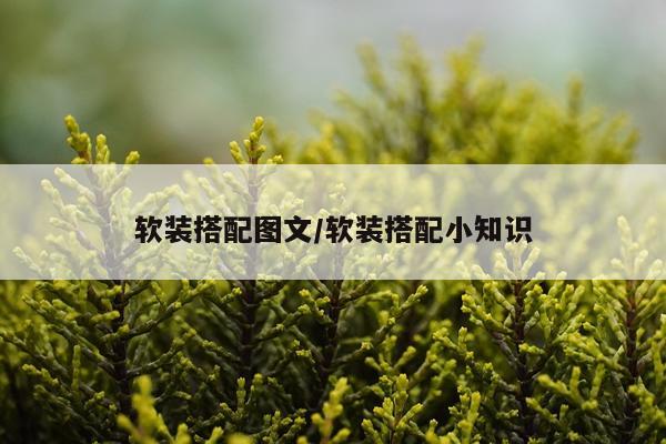 软装搭配图文/软装搭配小知识