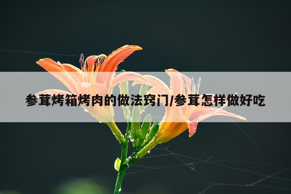 参茸烤箱烤肉的做法窍门/参茸怎样做好吃