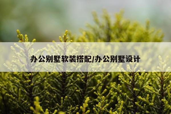 办公别墅软装搭配/办公别墅设计