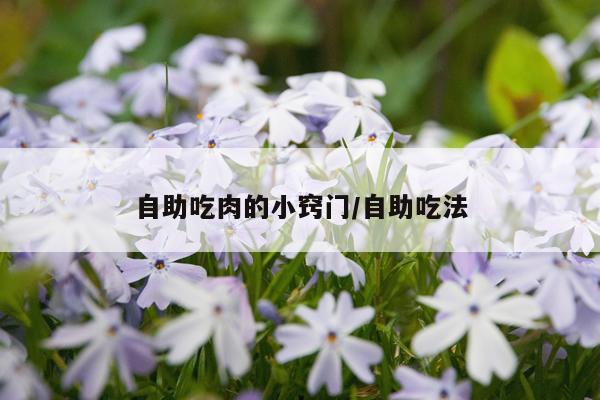 自助吃肉的小窍门/自助吃法