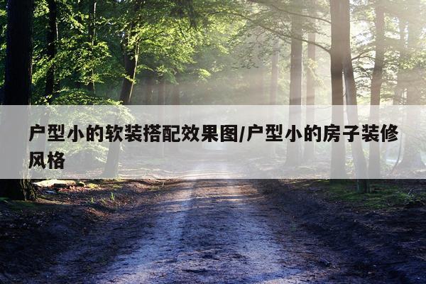 户型小的软装搭配效果图/户型小的房子装修风格