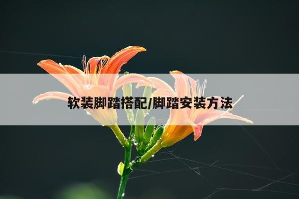 软装脚踏搭配/脚踏安装方法