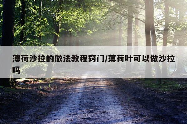 薄荷沙拉的做法教程窍门/薄荷叶可以做沙拉吗