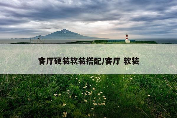 客厅硬装软装搭配/客厅 软装