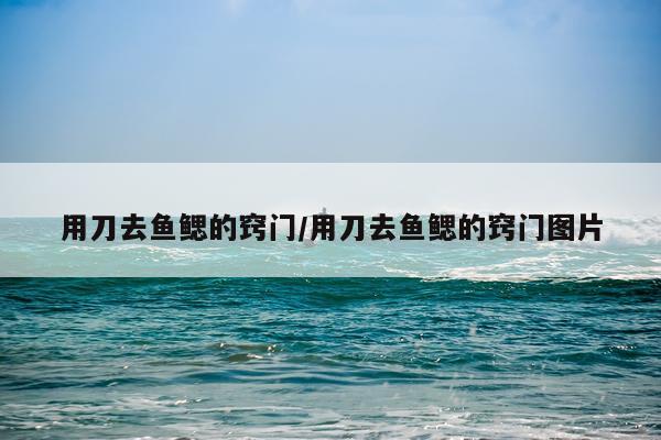 用刀去鱼鳃的窍门/用刀去鱼鳃的窍门图片