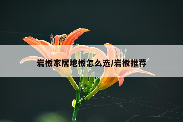 岩板家居地板怎么选/岩板推荐