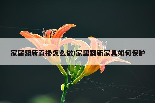 家居翻新直播怎么做/家里翻新家具如何保护