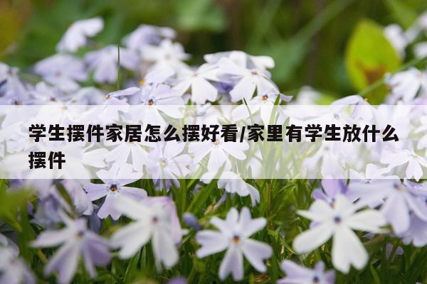 学生摆件家居怎么摆好看/家里有学生放什么摆件