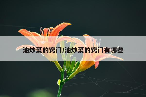 油炒菜的窍门/油炒菜的窍门有哪些
