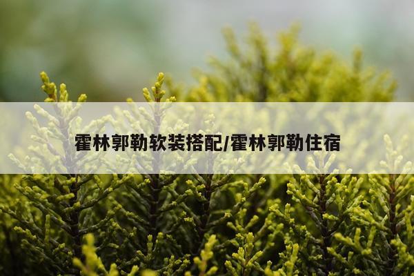霍林郭勒软装搭配/霍林郭勒住宿