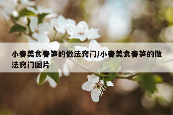 小春美食春笋的做法窍门/小春美食春笋的做法窍门图片