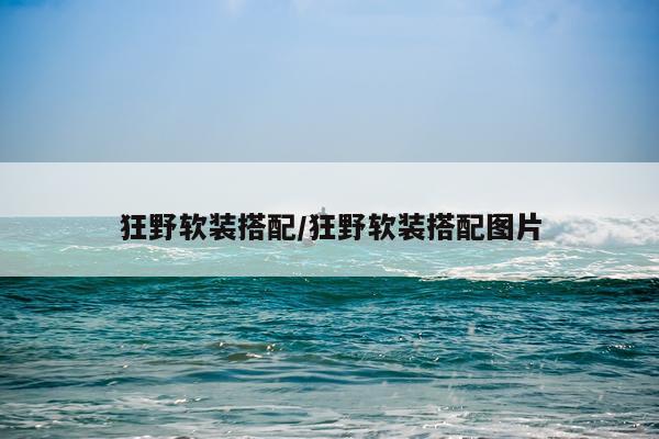 狂野软装搭配/狂野软装搭配图片