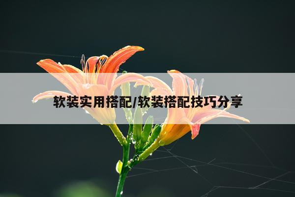 软装实用搭配/软装搭配技巧分享