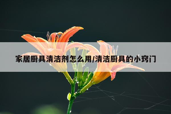 家居厨具清洁剂怎么用/清洁厨具的小窍门