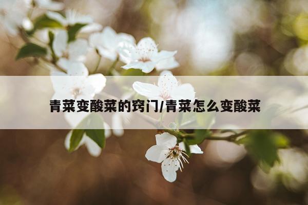 青菜变酸菜的窍门/青菜怎么变酸菜