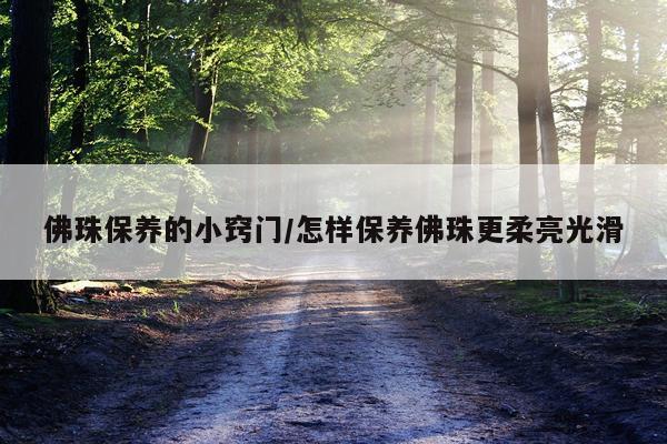 佛珠保养的小窍门/怎样保养佛珠更柔亮光滑