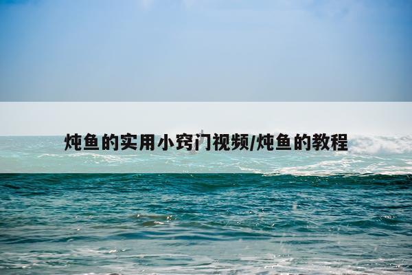 炖鱼的实用小窍门视频/炖鱼的教程