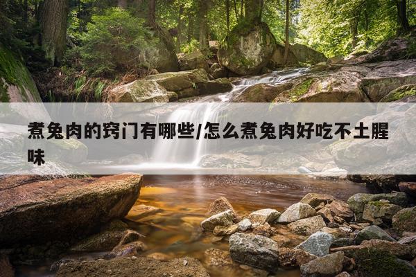 煮兔肉的窍门有哪些/怎么煮兔肉好吃不土腥味