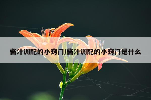 酱汁调配的小窍门/酱汁调配的小窍门是什么