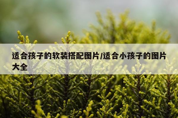 适合孩子的软装搭配图片/适合小孩子的图片大全
