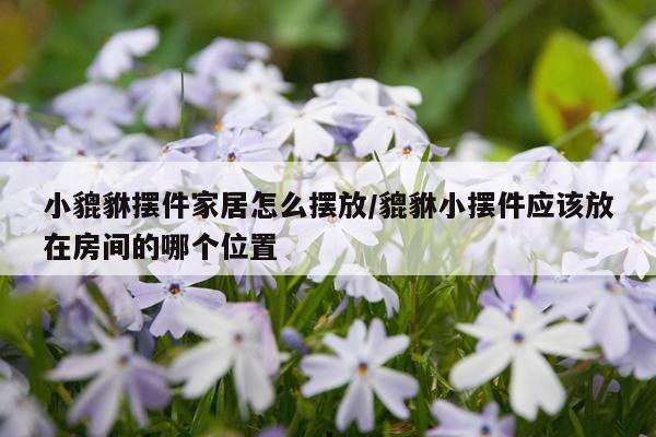 小貔貅摆件家居怎么摆放/貔貅小摆件应该放在房间的哪个位置