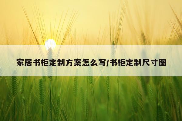 家居书柜定制方案怎么写/书柜定制尺寸图