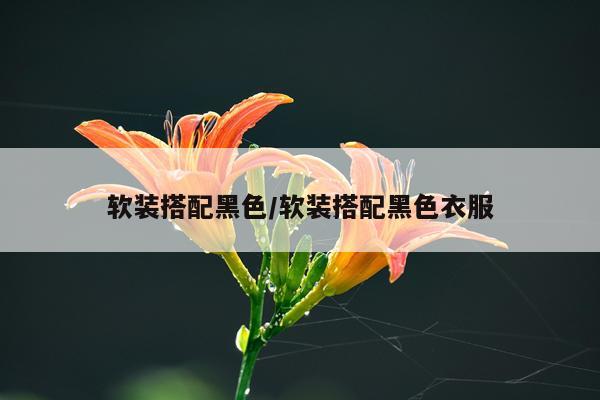 软装搭配黑色/软装搭配黑色衣服