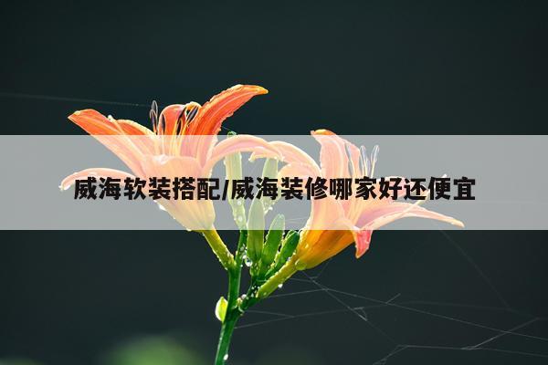 威海软装搭配/威海装修哪家好还便宜