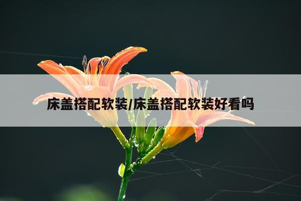 床盖搭配软装/床盖搭配软装好看吗