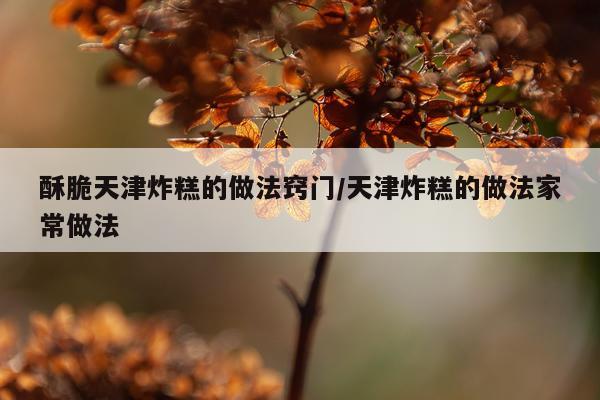 酥脆天津炸糕的做法窍门/天津炸糕的做法家常做法