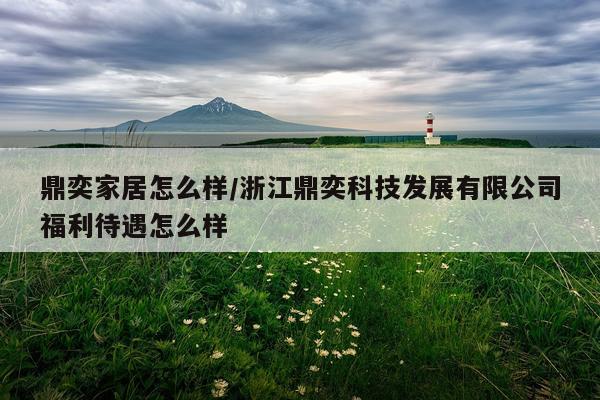 鼎奕家居怎么样/浙江鼎奕科技发展有限公司福利待遇怎么样