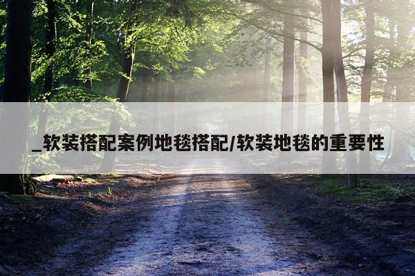 _软装搭配案例地毯搭配/软装地毯的重要性