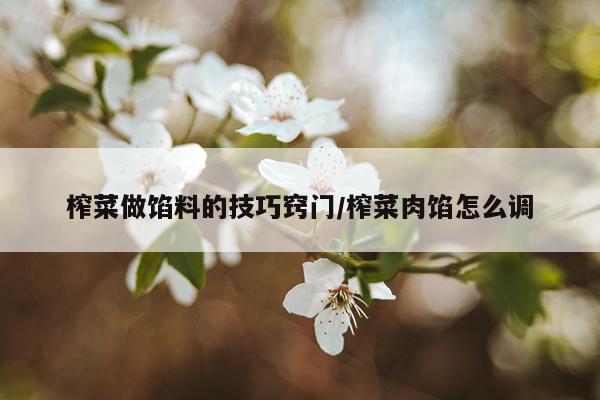 榨菜做馅料的技巧窍门/榨菜肉馅怎么调