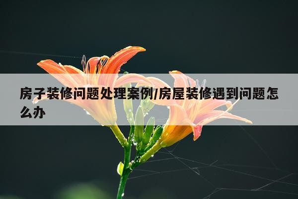 房子装修问题处理案例/房屋装修遇到问题怎么办