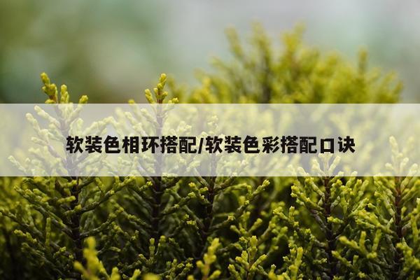 软装色相环搭配/软装色彩搭配口诀
