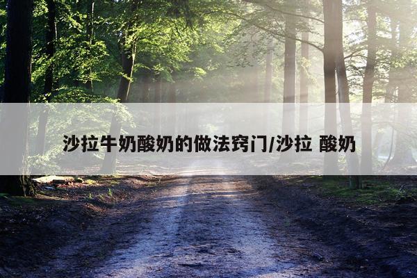 沙拉牛奶酸奶的做法窍门/沙拉 酸奶