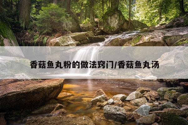 香菇鱼丸粉的做法窍门/香菇鱼丸汤