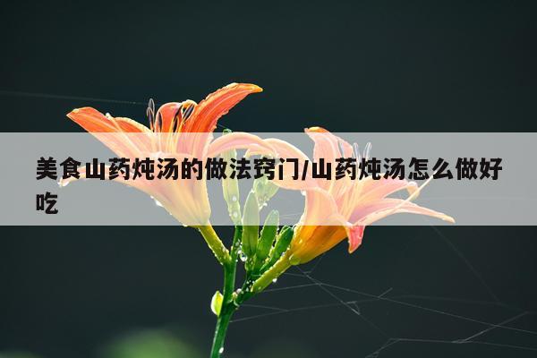 美食山药炖汤的做法窍门/山药炖汤怎么做好吃