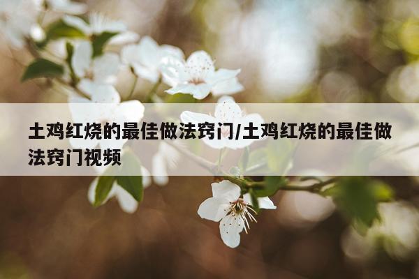 土鸡红烧的最佳做法窍门/土鸡红烧的最佳做法窍门视频