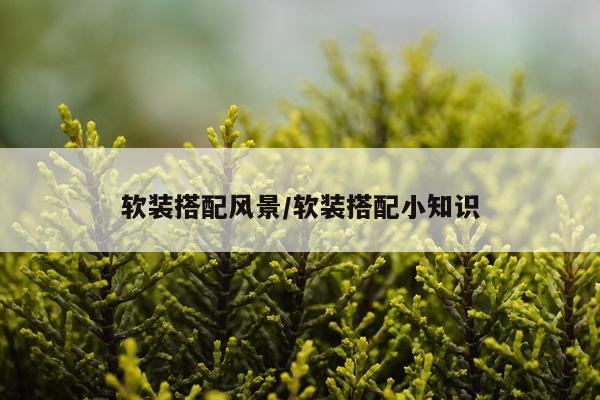 软装搭配风景/软装搭配小知识