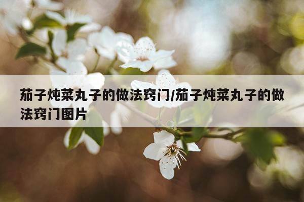 茄子炖菜丸子的做法窍门/茄子炖菜丸子的做法窍门图片