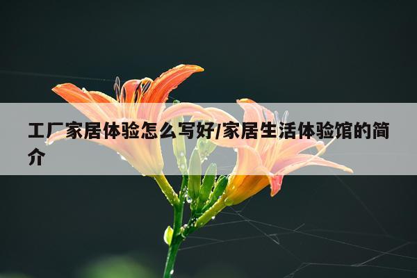 工厂家居体验怎么写好/家居生活体验馆的简介