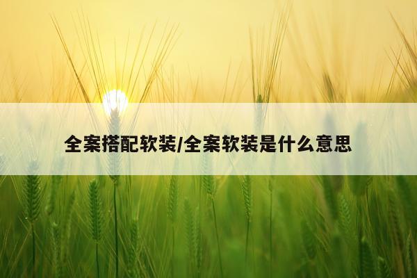 全案搭配软装/全案软装是什么意思